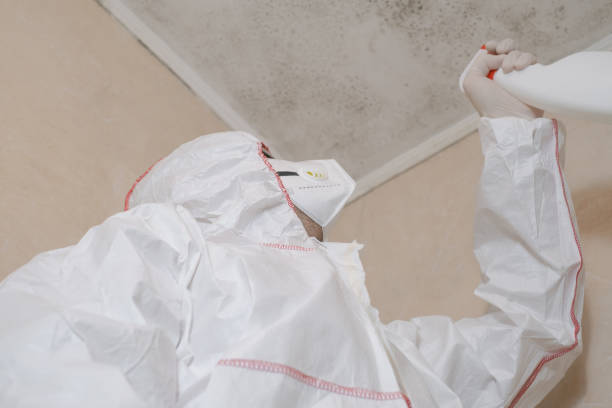 Professional Mold Removal in Lake Barrington, IL