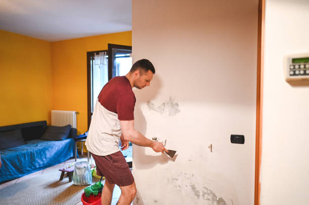 Best Attic Mold Removal  in Lake Barrington, IL