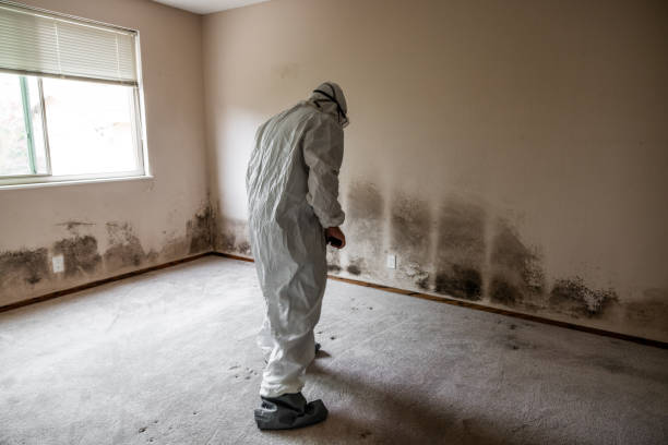 Best Mold Testing  in Lake Barrington, IL